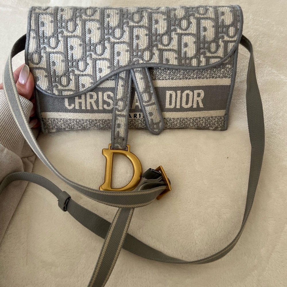 Dior saddle bag